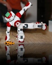 Exhibition-Xpero robot