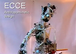 A new kind of robot: ECCEROBOT