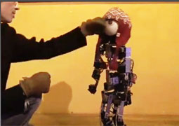 Acroban the Humanoid: Playful and Compliant Physical Human-Robot Interaction