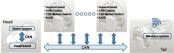 lampetra scheme